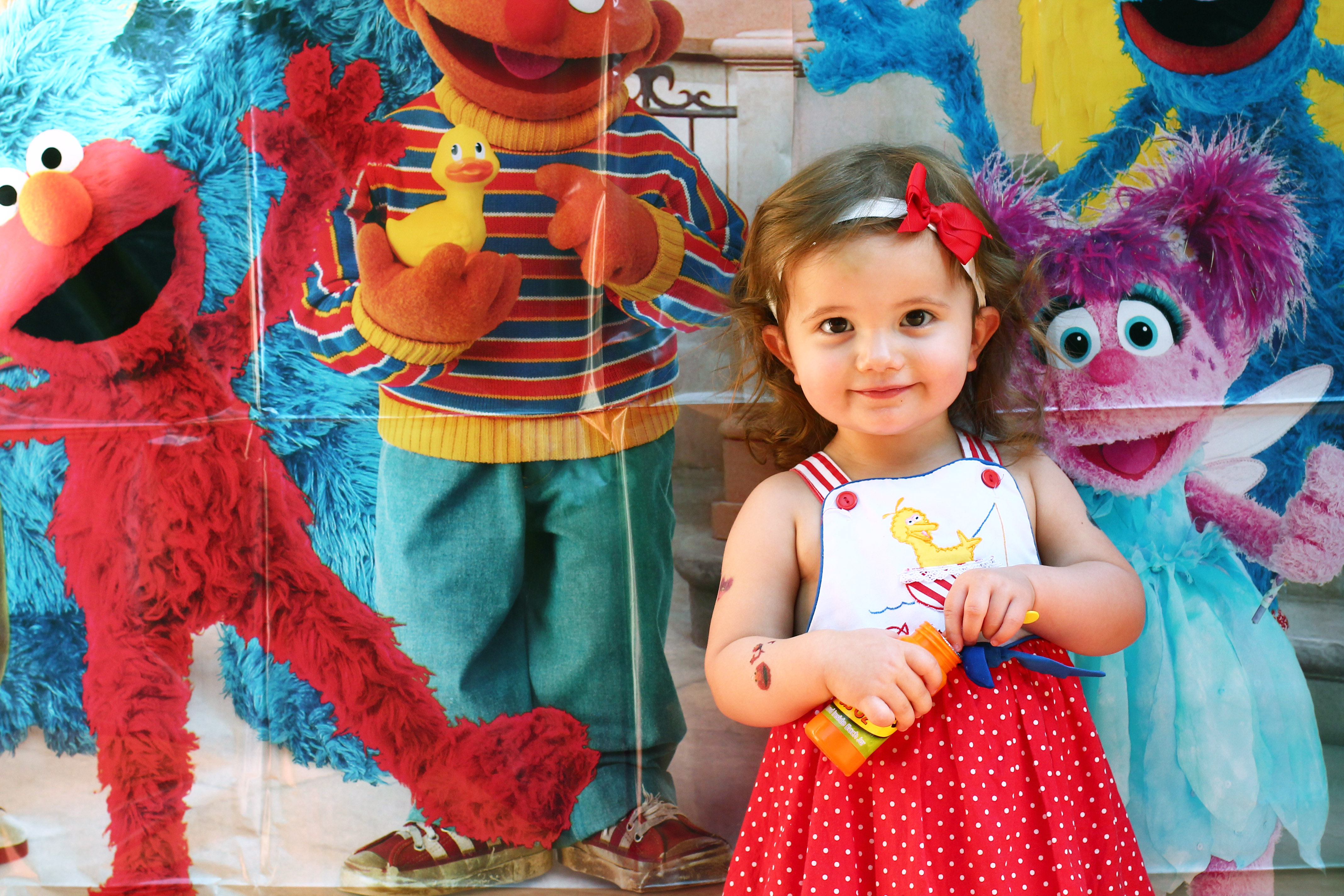 Handmade Sesame Street Dress for Sesame Street Party