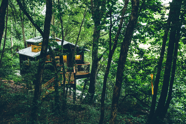 A Treehouse Getaway + How to Travel Easily With Kids