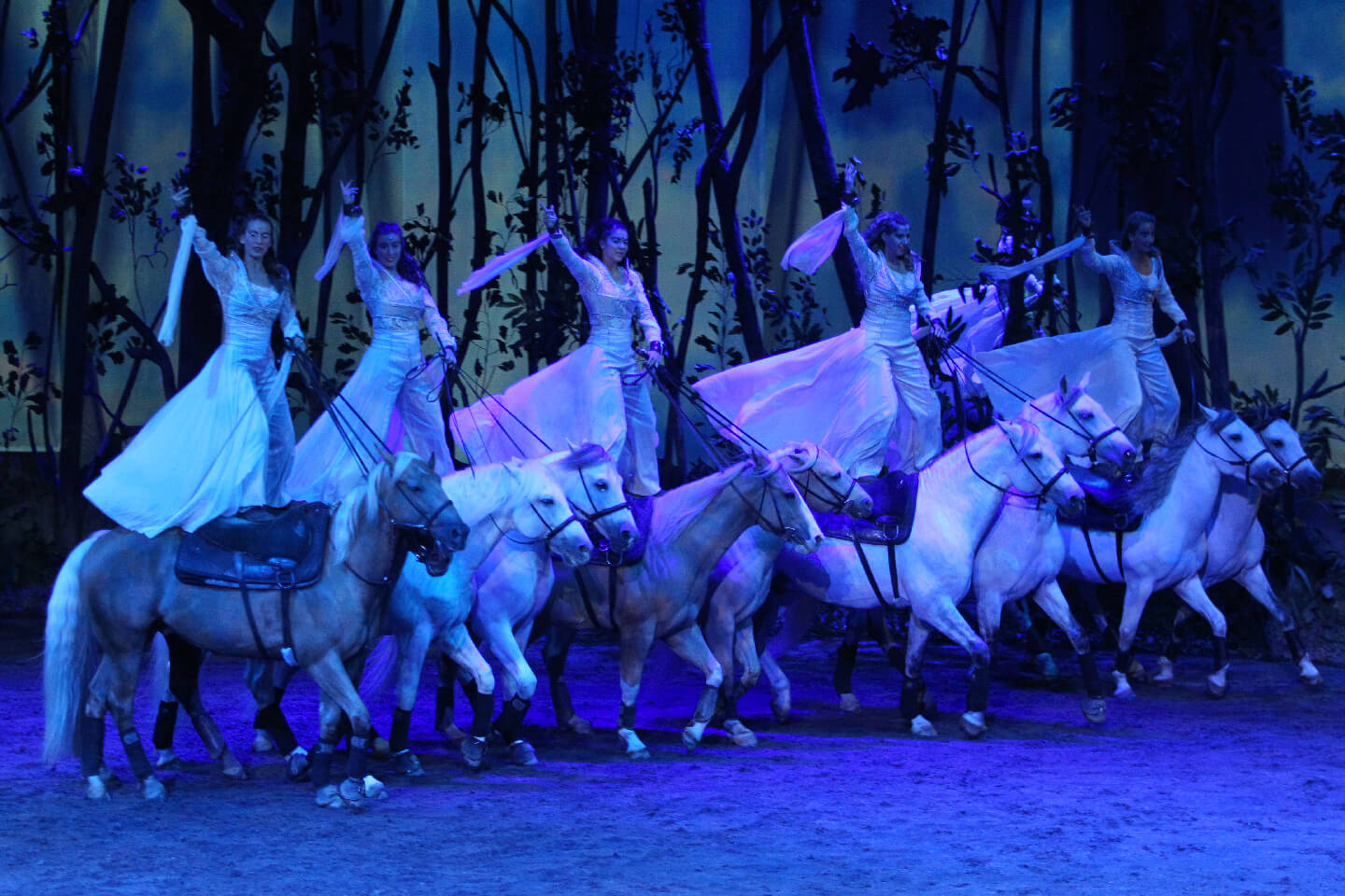 is cavalia worth the money?