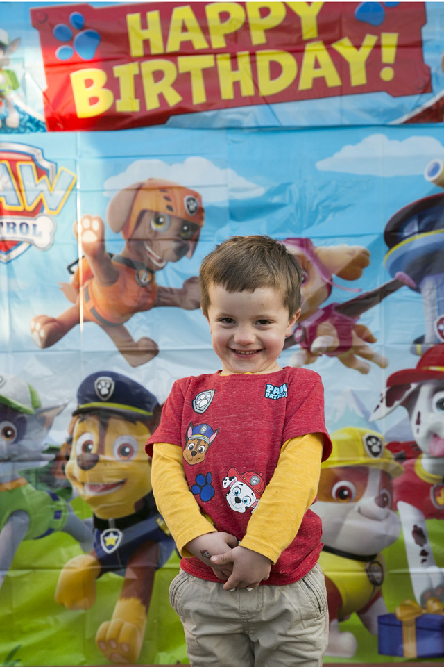 The Best Paw Patrol Party: Paw Patrol Scene Setter