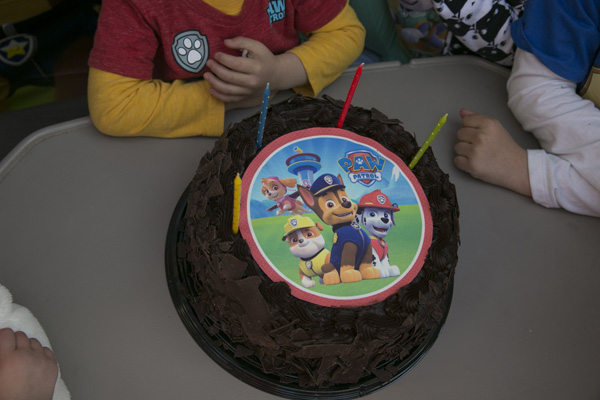 The Best Paw Patrol Party: Paw Patrol Cake