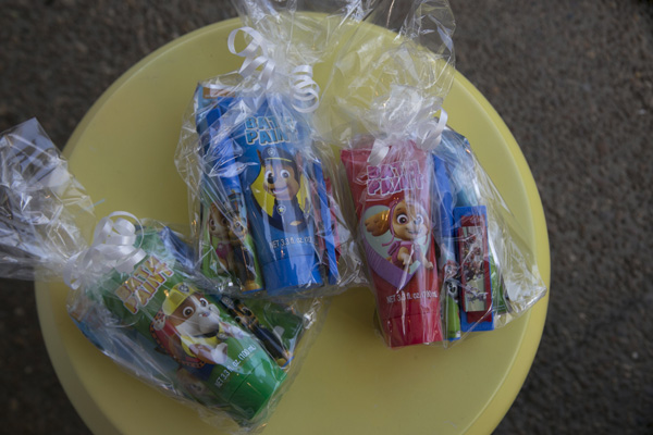 The Best Paw Patrol Party: Paw Patrol Party Favors