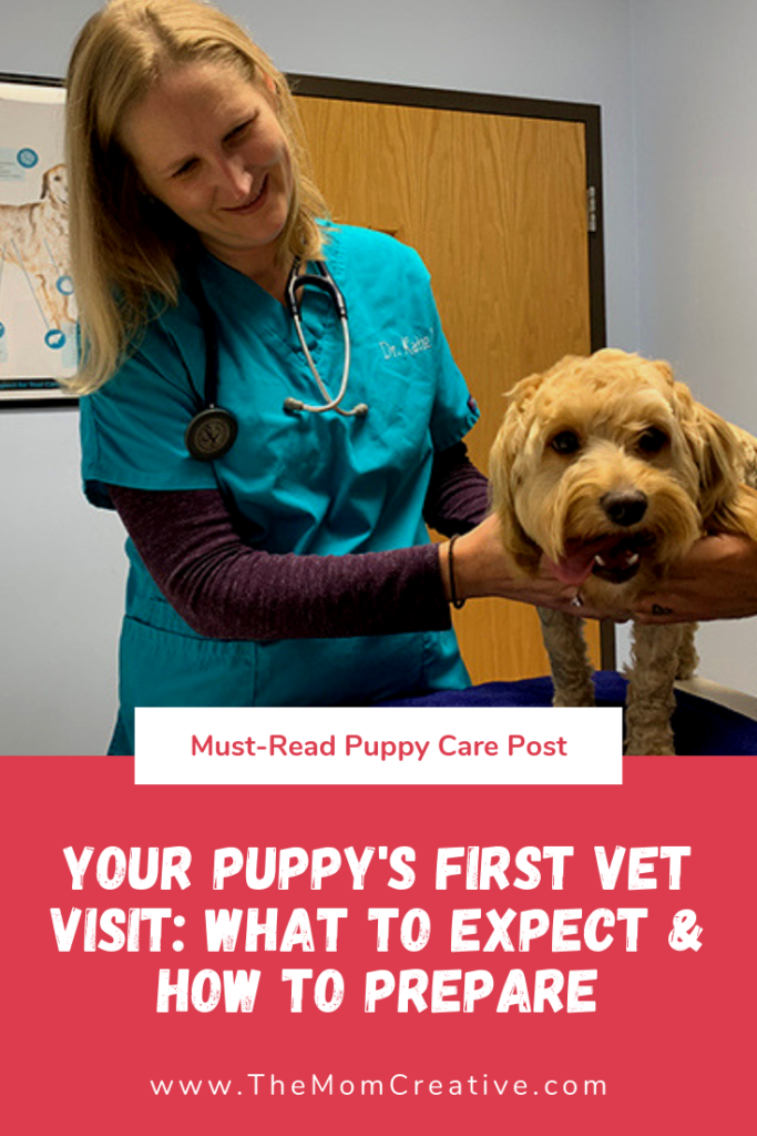 Your Puppy's First Vet Visit: What to Expect & How to Prepare