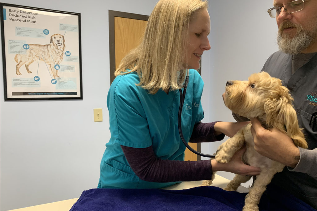 Your Puppy's First Vet Visit: What to Expect & How to Prepare