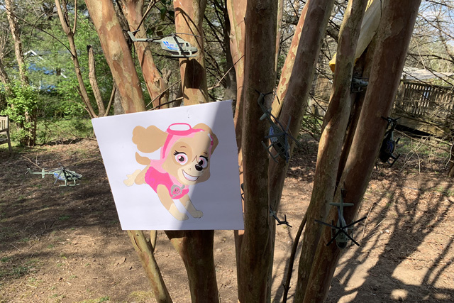 Paw Patrol Scavenger Hunt Skye Clue