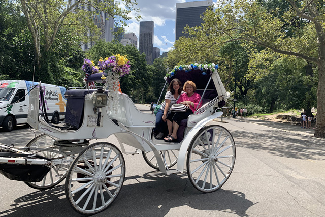 Central Park: first time trip to NYC